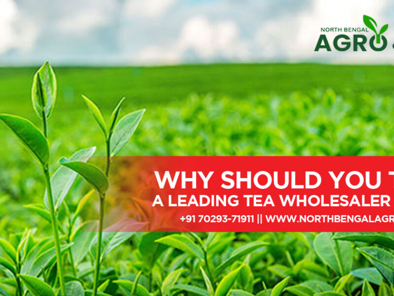 why-should-you-trust-a-leading-tea-wholesaler-in-india