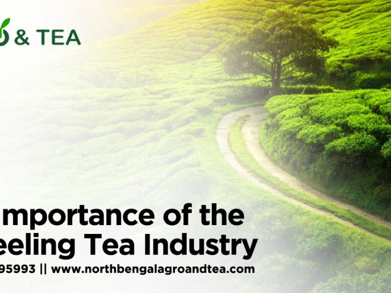 the-importance-of-the-darjeeling-tea-industry