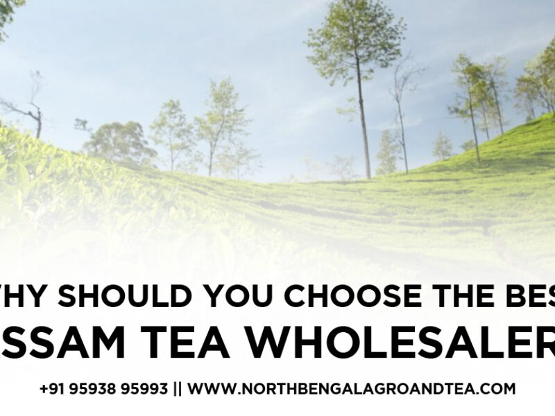best assam tea wholesaler
