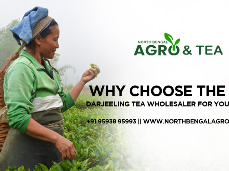 Why Choose the Best Darjeeling Tea Wholesaler for Your Business