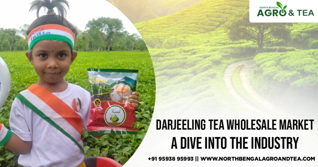 Darjeeling Tea Wholesale Market A Dive into the Industry