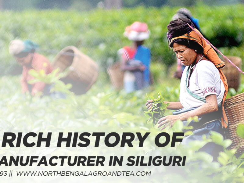 tea-manufacturer-in-siliguri