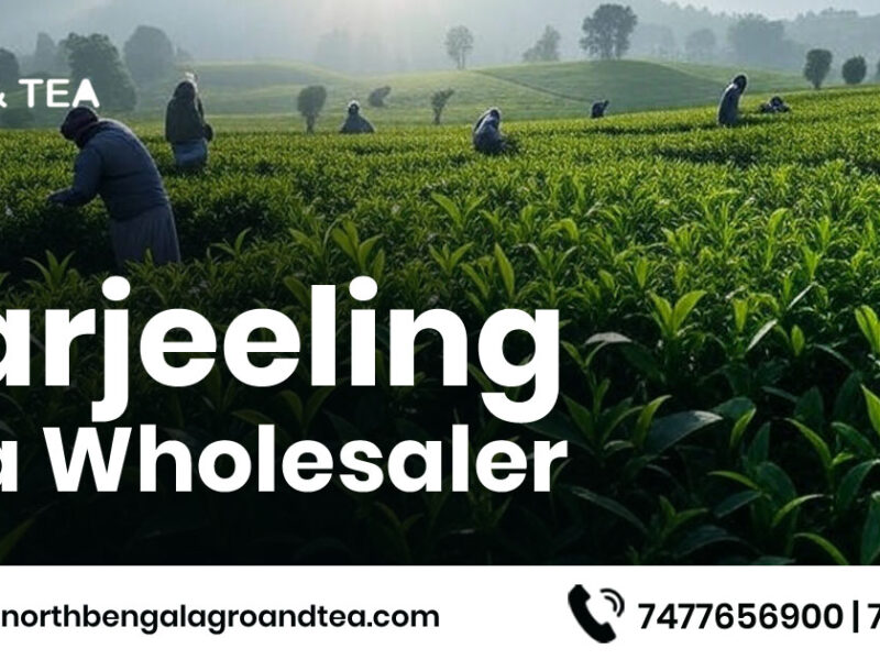 darjeeling-tea-wholesaler
