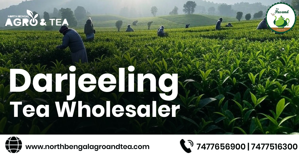 darjeeling-tea-wholesaler