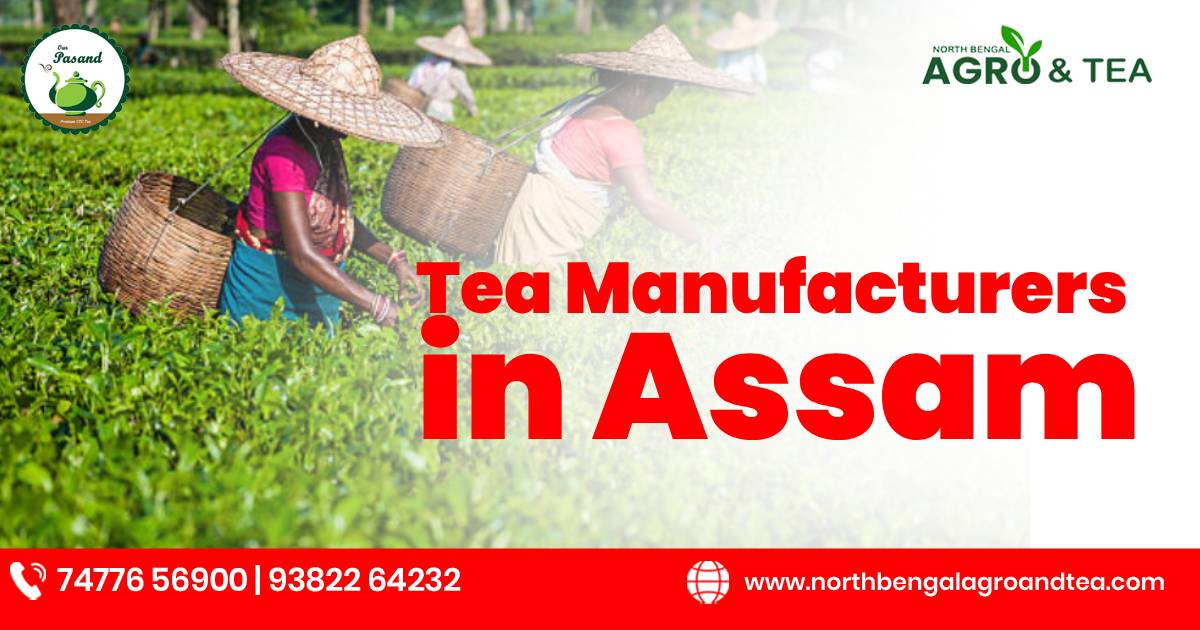 tea-manufacturers-in-assam