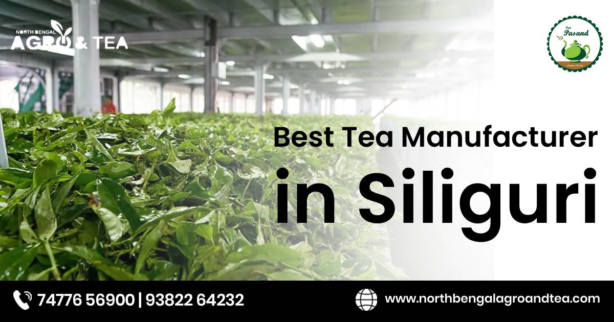 best-tea-manufacturer-in-siliguri