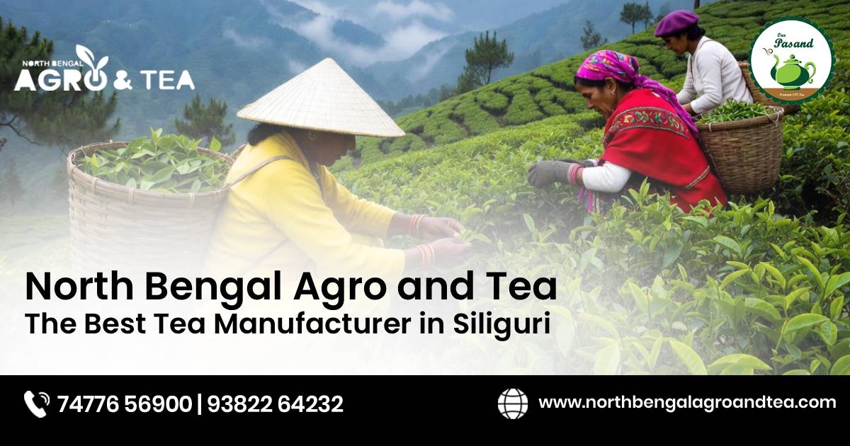 best-tea-manufacturer-in-siliguri