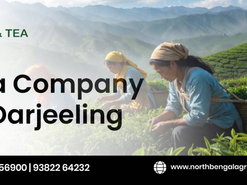 tea-company-in-darjeeling