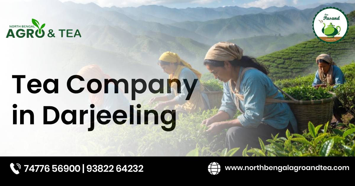 tea-company-in-darjeeling