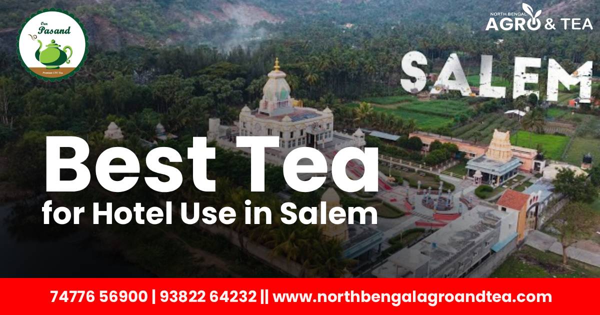 best-tea-for-hotel-use-in-salem