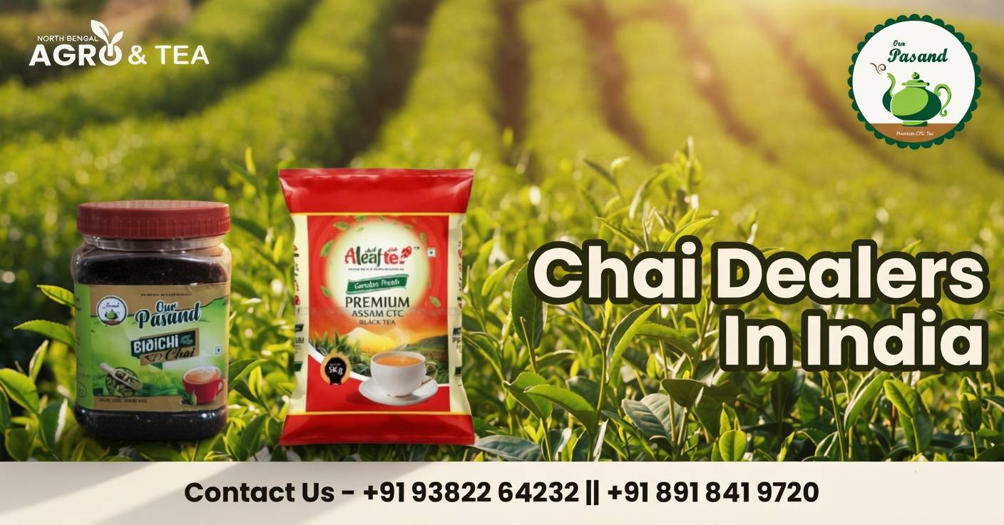 New shop collection our shop