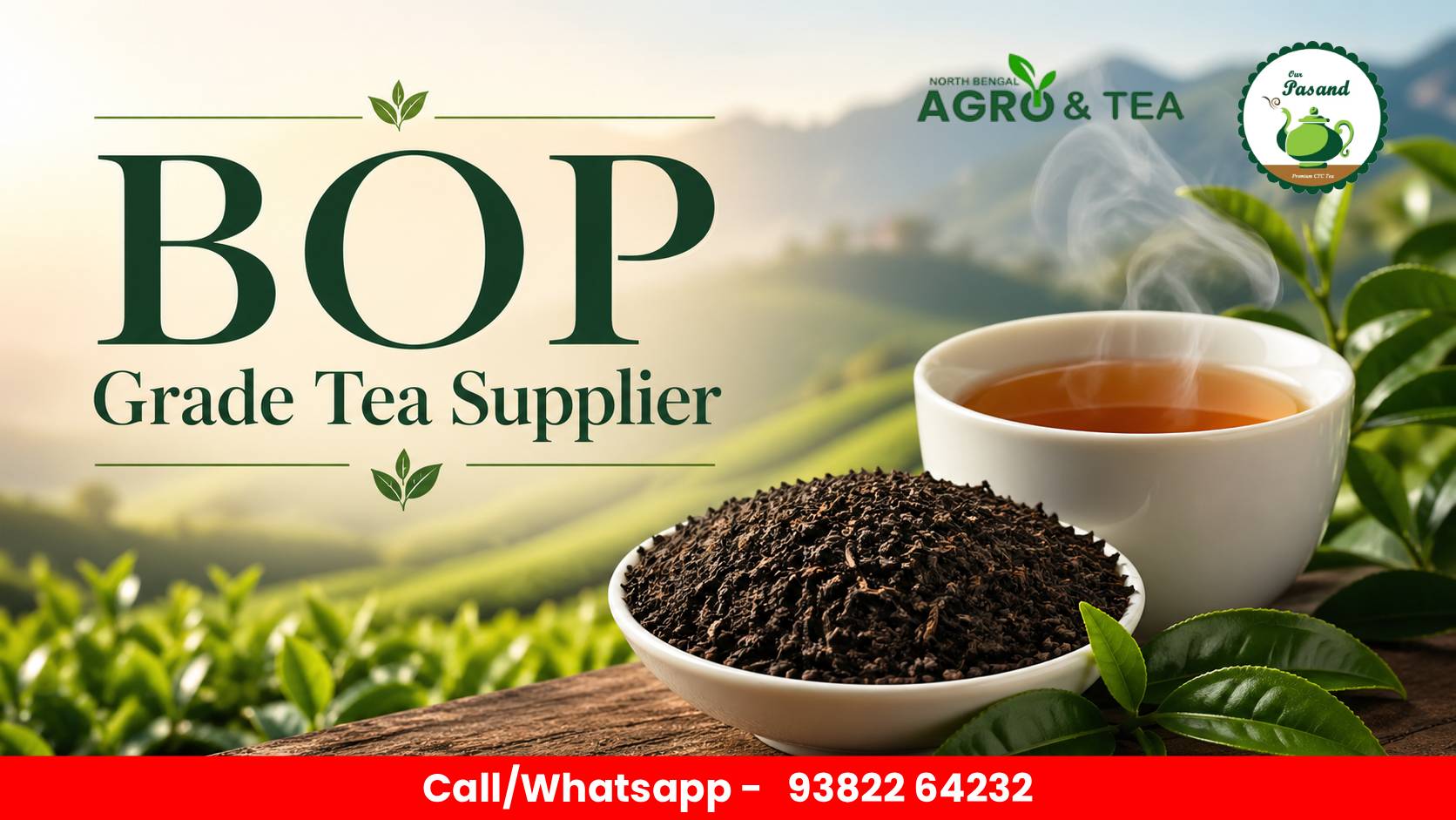 New shop collection our shop