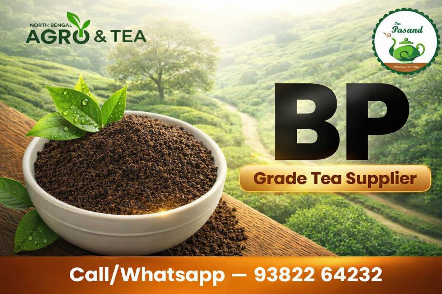 New shop collection our shop