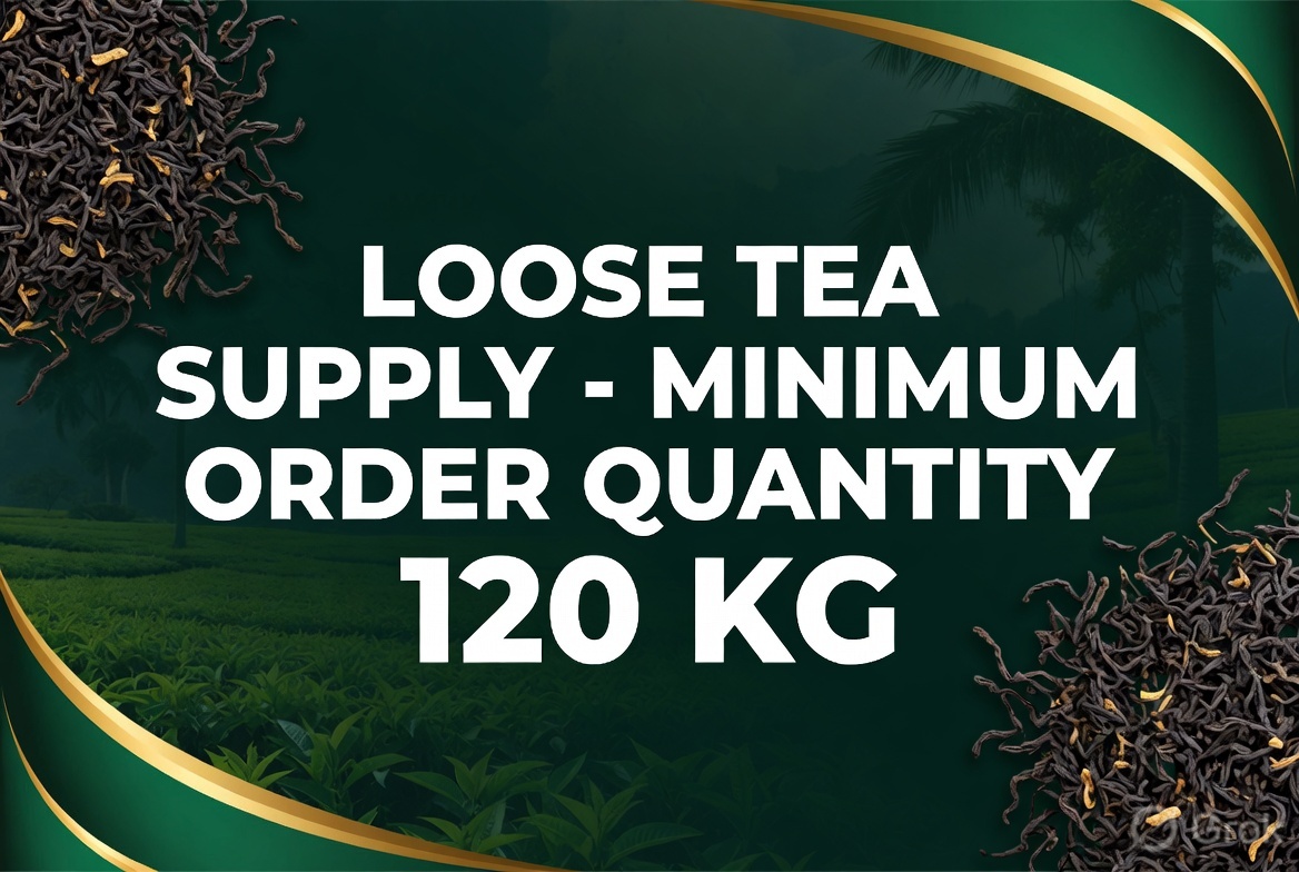 New shop collection our shop