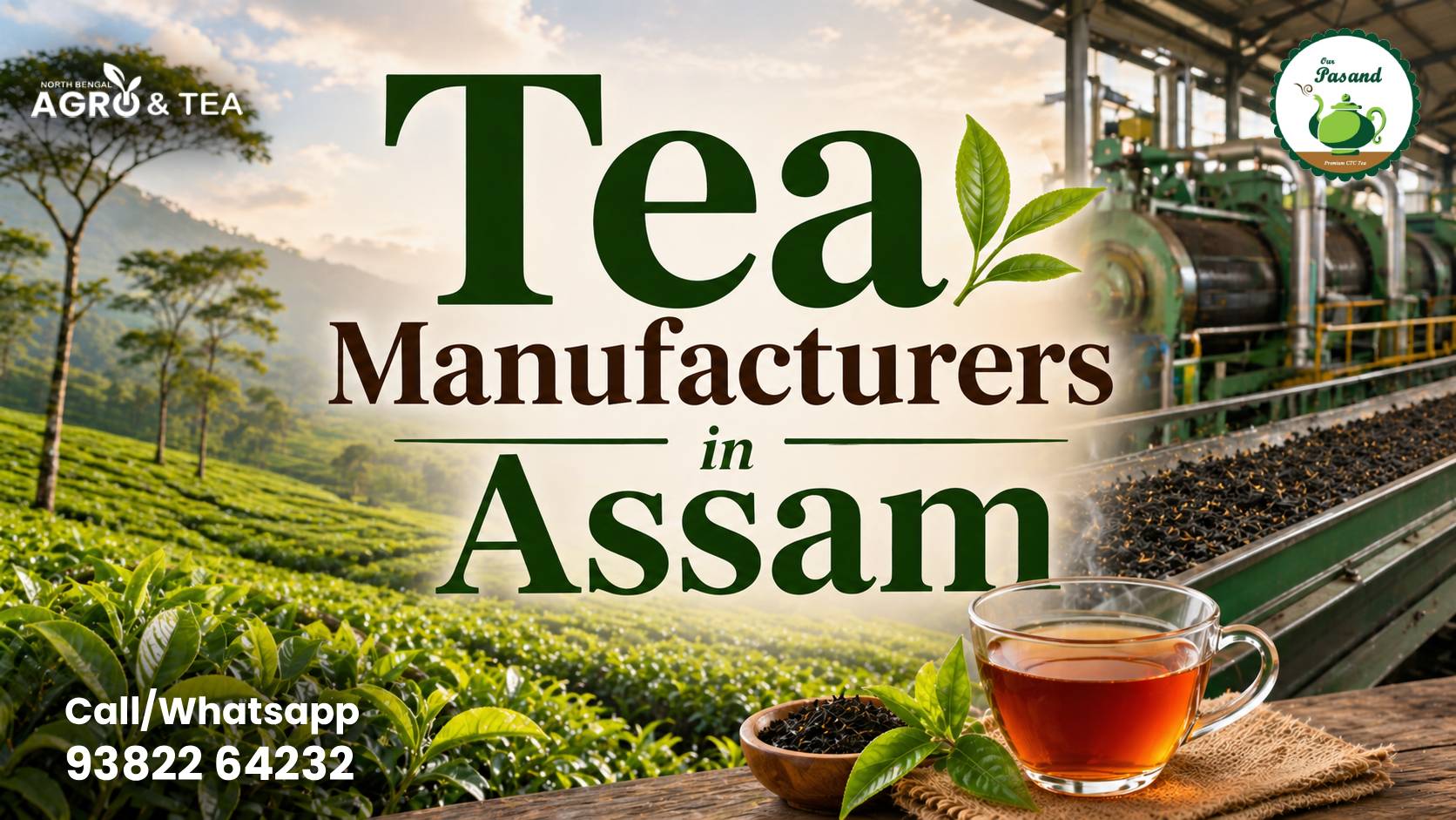 New shop collection our shop