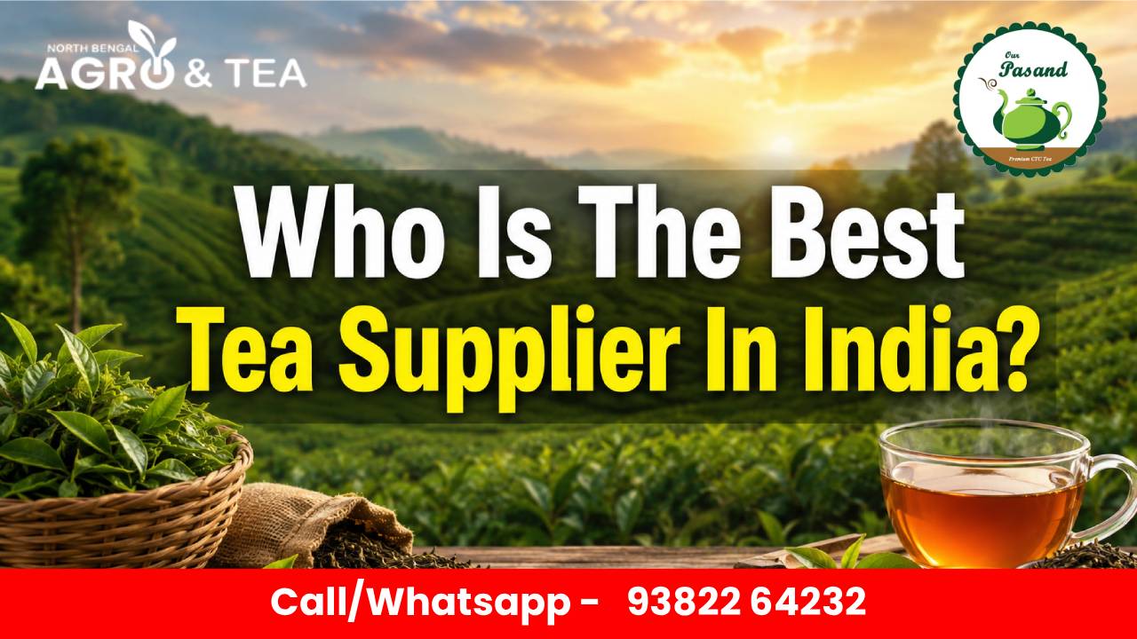 best-tea-supplier-in-india