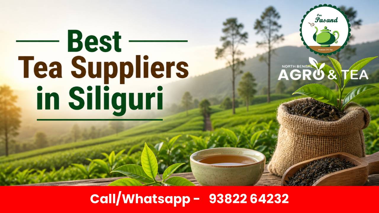 best-tea-suppliers-in-siliguri